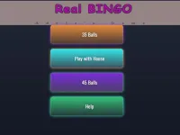 Bingo-Spannung: Zahlenjagd Live